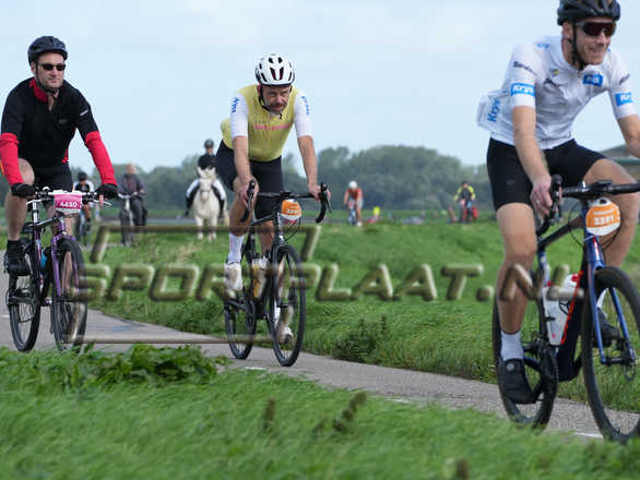 D2008.jpg